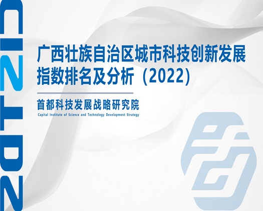 老外操鸡【成果发布】广西壮族自治区城市科技创新发展指数排名及分析（2022）